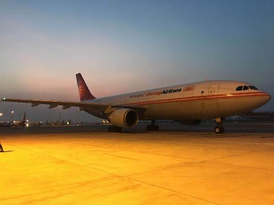 配圖:搭載有兩頭白鯨的友和道通航空UW9929航班平穩降落在三亞機場.jpg