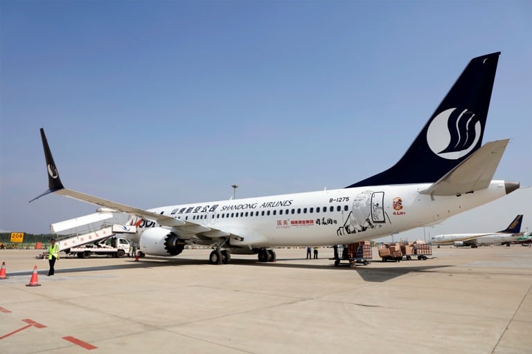 12 本架飛機同時也是山航引進的第一架波音737MAX飛機.JPG