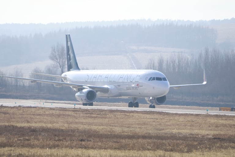 mmexport1544846339669.jpg