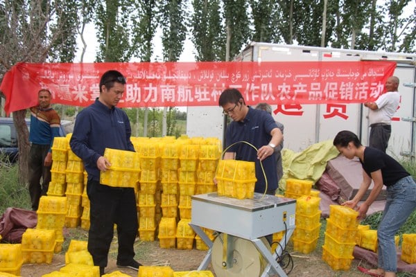 南航駐皮山縣皮西那鄉(xiāng)加依托格拉克村工作隊(duì)隊(duì)長(zhǎng)辛星（右）正在為剛摘下的杏子稱重。——吳昊.jpg